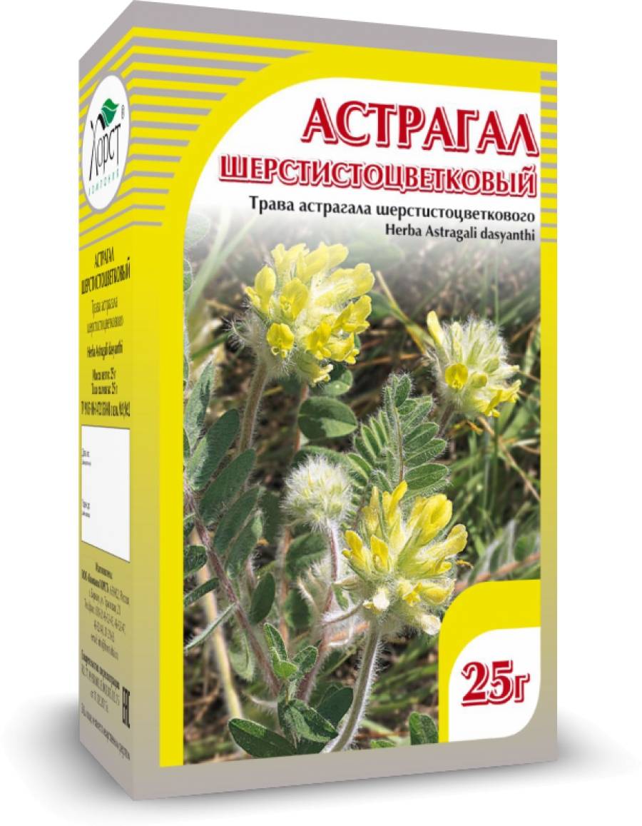Купить онлайн Астрагал шерстистоцветковый, трава Хорст 25г в интернет-магазине Беришка с доставкой по Хабаровску и по России недорого.